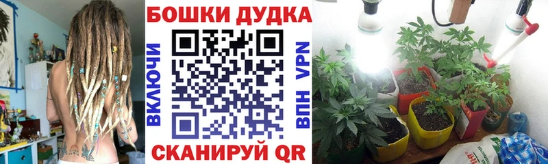 Канабис ГИДРОПОН  Бронницы 
